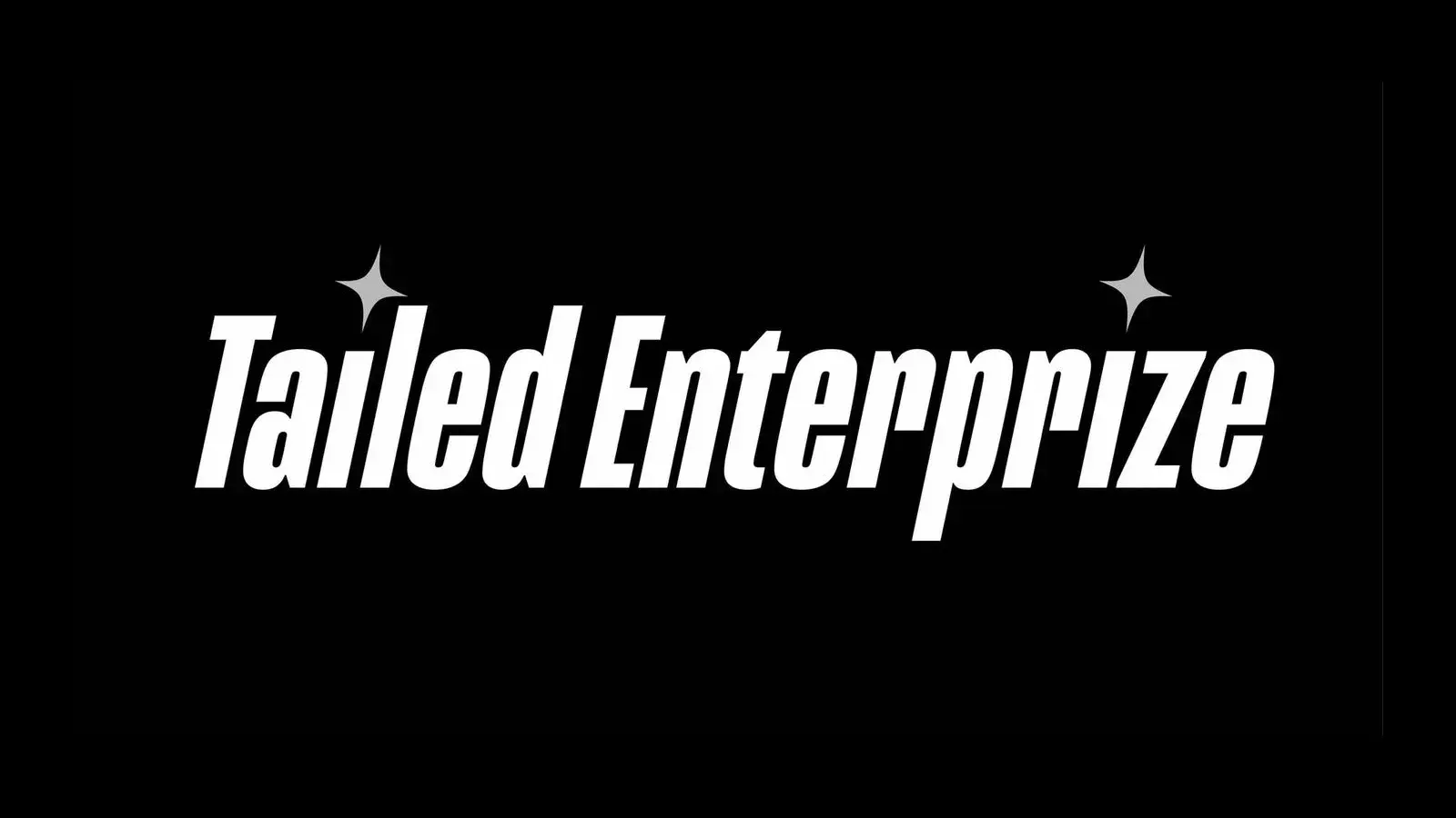 Tailed Enterprize white wordmark with two sparkles on black, from its Whop page
